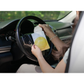 Grow Natural Car Fresheners | Coconut Pineapple