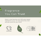 Grow Natural Car Fresheners | Coconut Pineapple