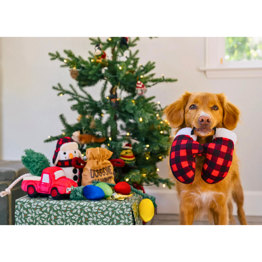 PLAY Home for the Holidays Paw Warmers