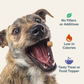 Four Leaf Rover Lamb Liver Treats