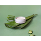 Grow Natural Candle | Cucumber Aloe