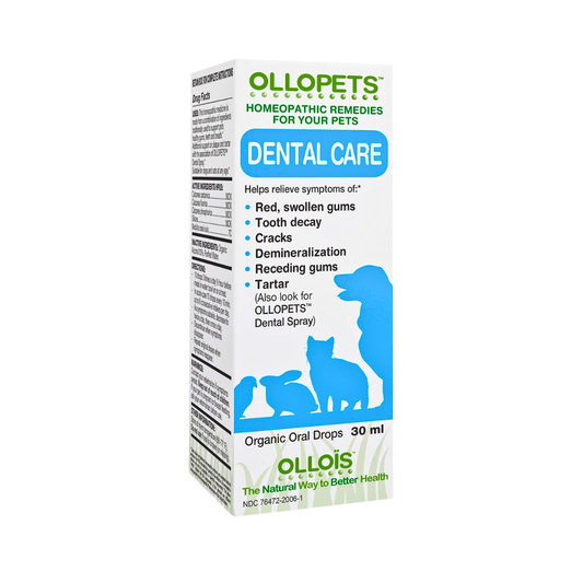 Ollopets Dental Care | Homeopathic Oral Health + Teeth Support