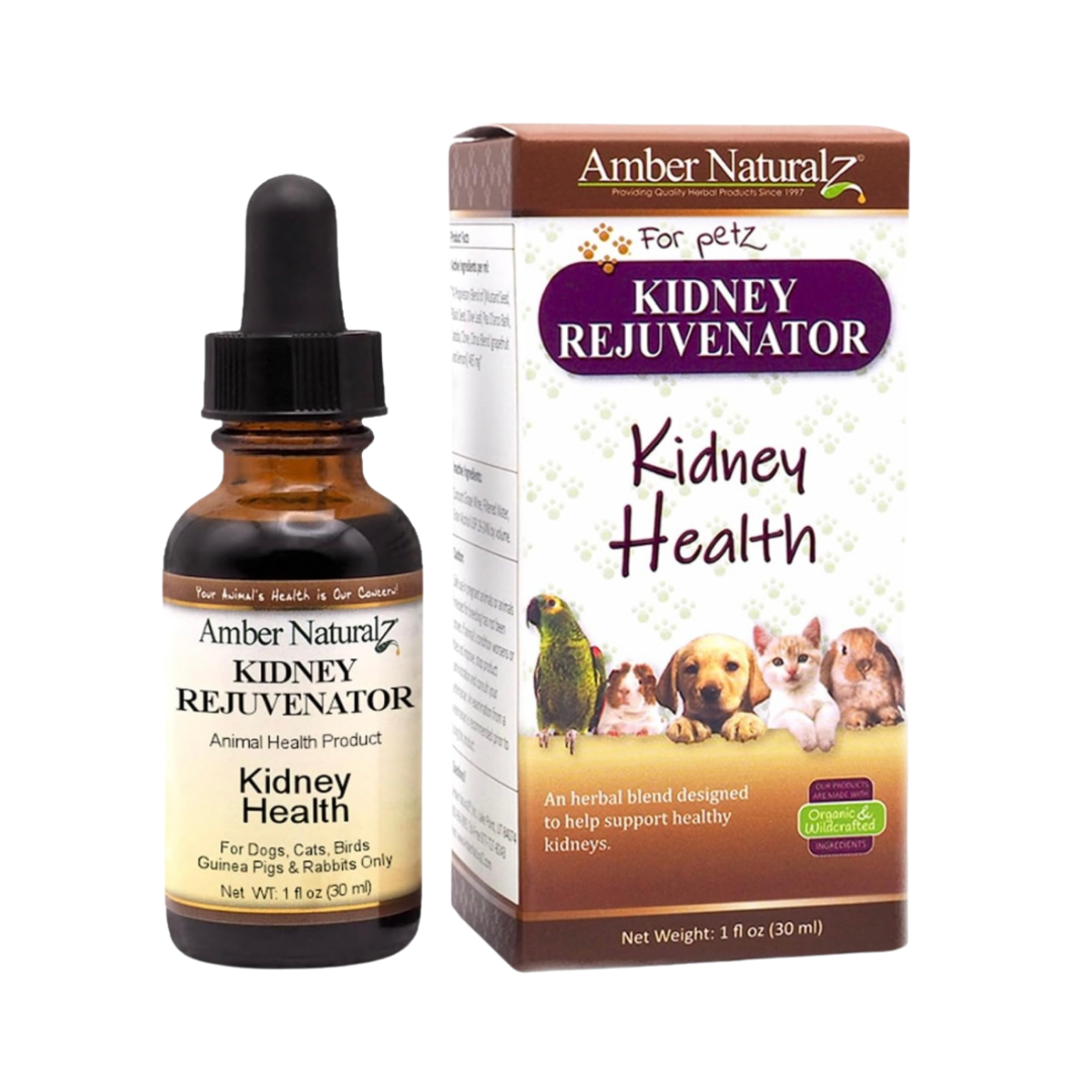 Amber Naturalz Kidney Rejuvenator | Kidney Support