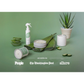 Grow Natural Air Freshener | Cucumber Aloe
