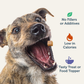 Four Leaf Rover Beef Liver Treats