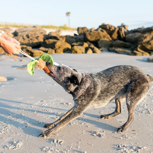 PLAY Puppy Palm Tree