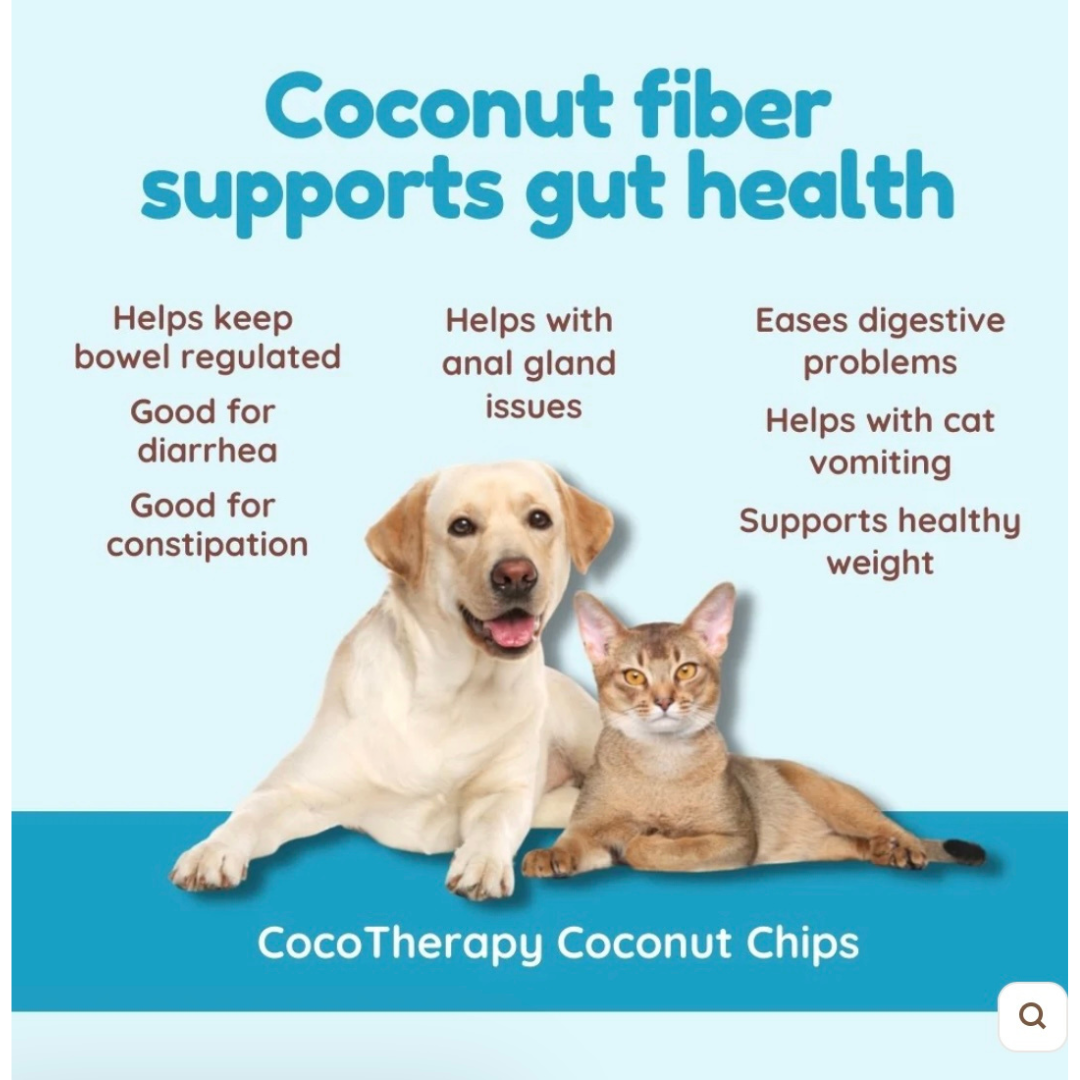 Cocotherapy Organic Coconut Chips