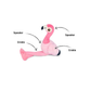 PLAY Flora the Flamingo