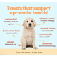 CocoTherapy Organic Coco-Milk Bones | Ginger Snaps