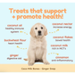 CocoTherapy Organic Coco-Milk Bones | Ginger Snaps