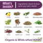 Amber Naturalz Kidney Rejuvenator | Natural Herbal Kidney + Urinary Support