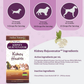 Amber Naturalz Kidney Rejuvenator | Natural Herbal Kidney + Urinary Support