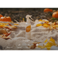 Grow Natural Air Freshener | Autumn Heirloom