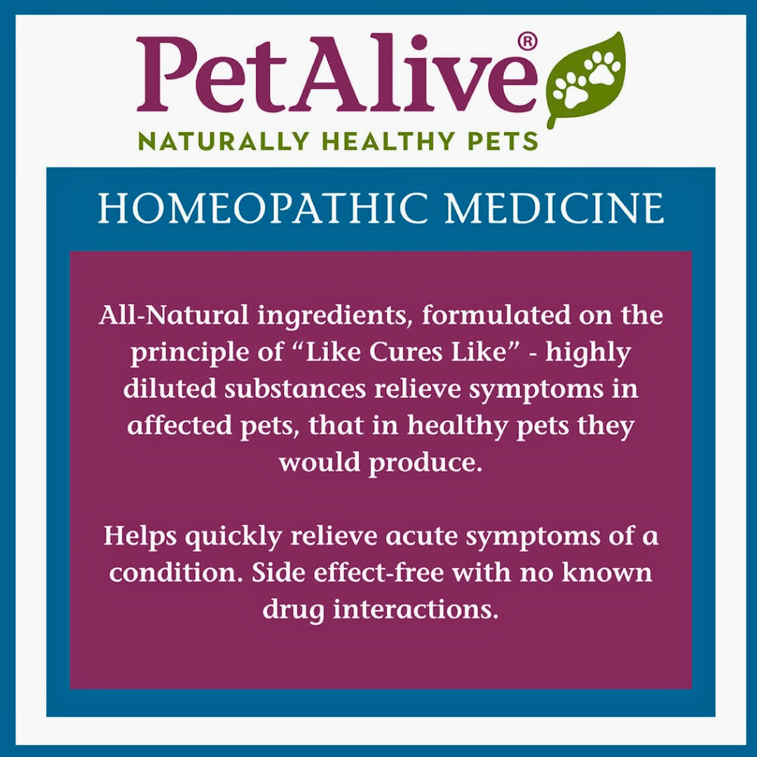Pet Alive UTI-Free | Homeopathic Urinary Tract Support
