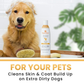 Aroma Paws Mandarin Ginger Shampoo | Deep Cleansing