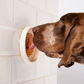 Awoo Lick Dish | Silicone Slow Feeder + Calming Enrichment Toy