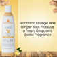 Aroma Paws Mandarin Ginger Shampoo | Deep Cleansing