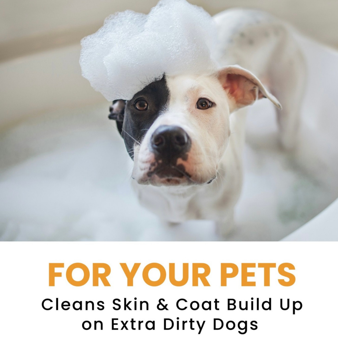 Aroma Paws Mandarin Ginger Shampoo | Deep Cleansing