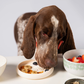 Awoo Lick Dish | Silicone Slow Feeder + Calming Enrichment Toy