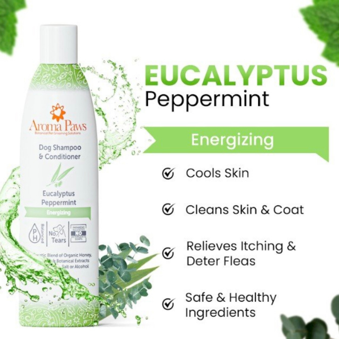 Aroma Paws Eucalyptus Peppermint Shampoo | Energizing