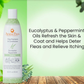 Aroma Paws Eucalyptus Peppermint Shampoo | Energizing