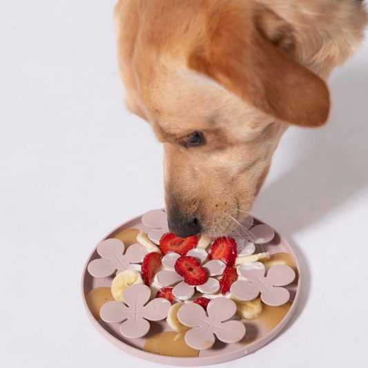 Awoo Meadow | Silicone Slow Feeder + Calming Enrichment Toy