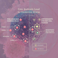 Vital Defense | Cellular Support