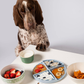 Awoo Paradise Lick Mat | Silicone Slow Feeder + Calming Enrichment Toy