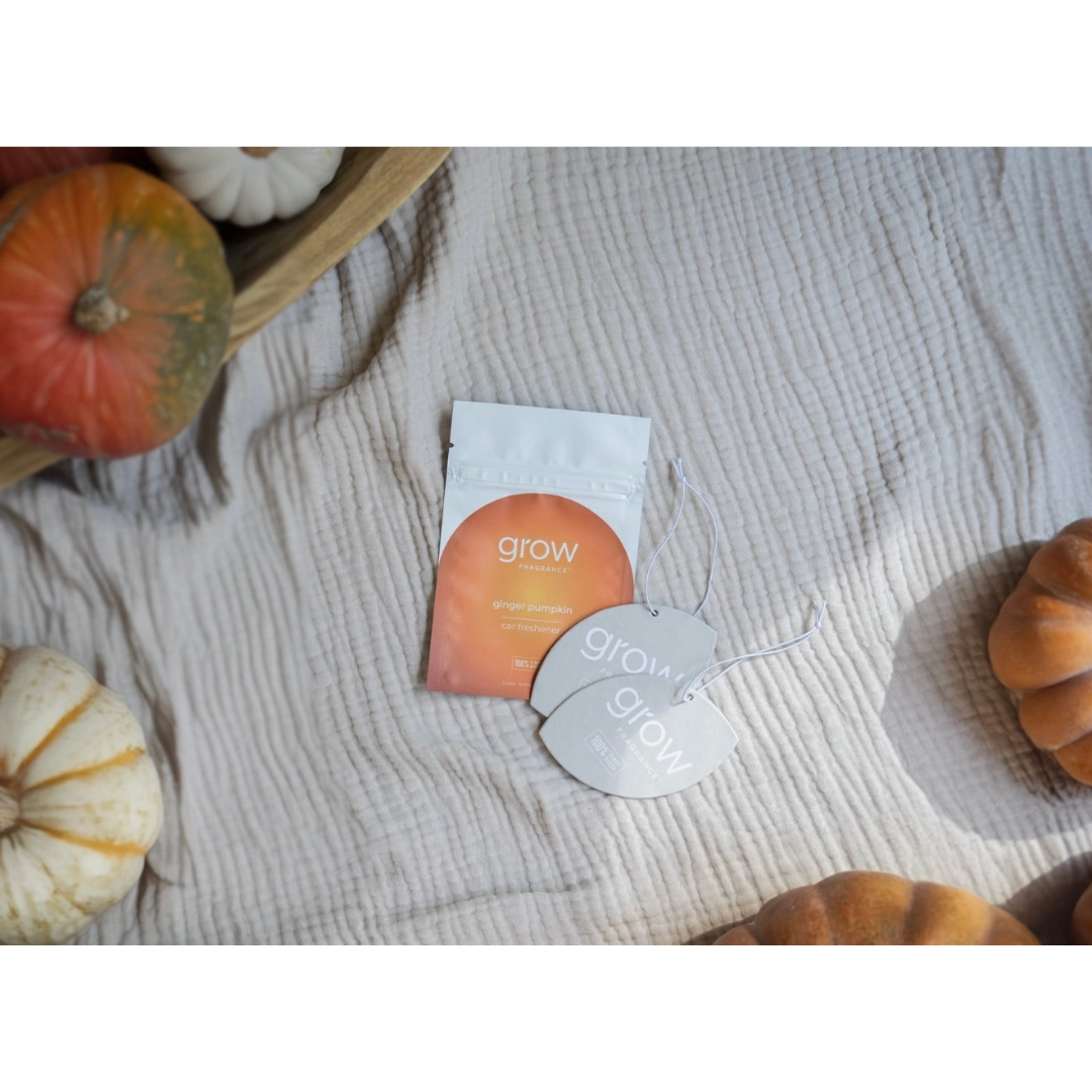 Grow Car Fresheners | Ginger Pumpkin