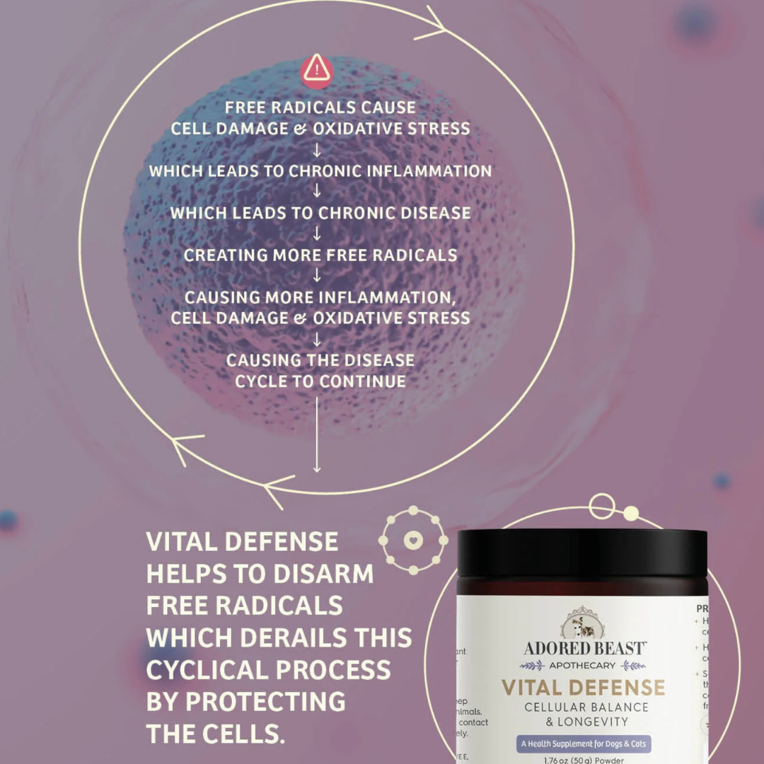 Adored Beast Vital Defense | Cellular Support