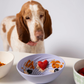 Awoo Wobbowl | Silicone Slow Feeder + Calming Enrichment Toy