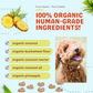 Cocotherapy Organic Coconut Cookies | Piña Colada
