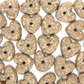 Cocotherapy Organic Coconut Cookies | Piña Colada