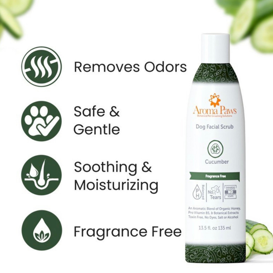 Facial Scrub | Cucumber + Aloe