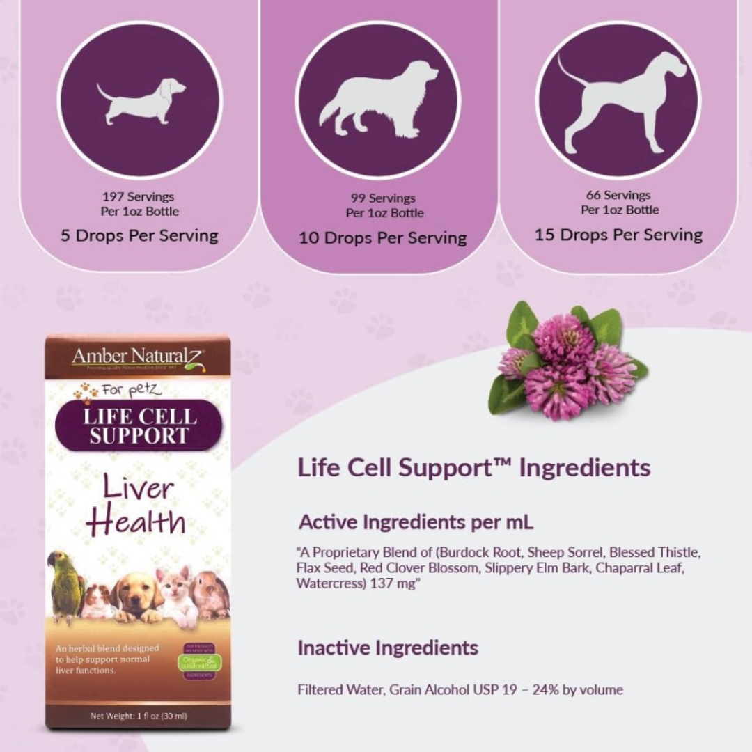 Amber Naturalz Life Cell Support | Liver Health