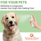 Aroma Paws Dog Coat Spray | Eucalyptus Peppermint