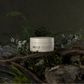 Manuka Paw Balm | Natural Manuka Honey Paw + Nose Balm