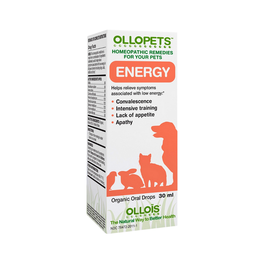 Ollopets Energy | Homeopathic Stamina + Recovery Support