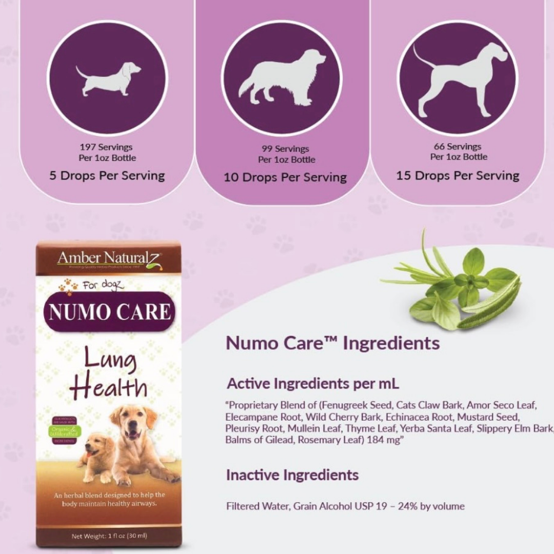 Amber Naturalz Numo Care | Lung Health