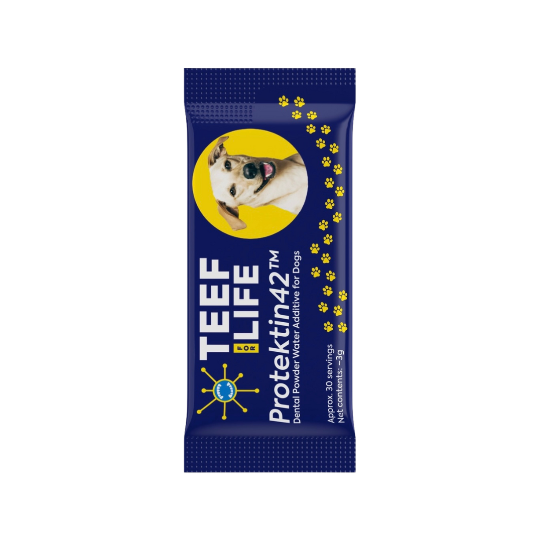 TEEF for Life Protektin42 | Refill Powder Packet