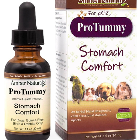 Amber Naturalz Protummy | Natural Digestive Support