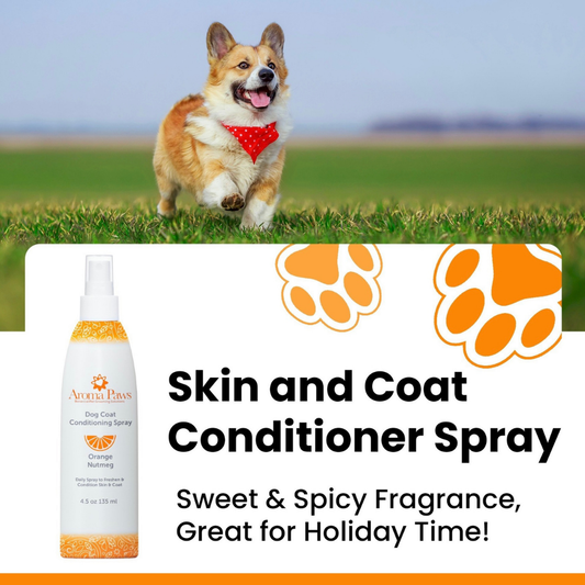Aroma Paws Dog Coat Spray | Orange Nutmeg Vetiver
