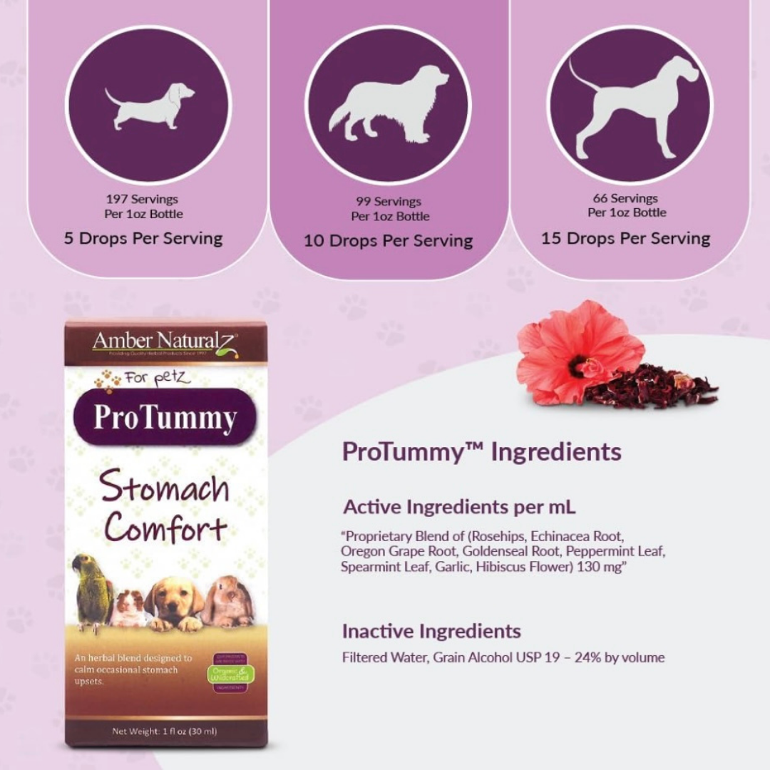 Amber Naturalz Protummy | Natural Digestive Support