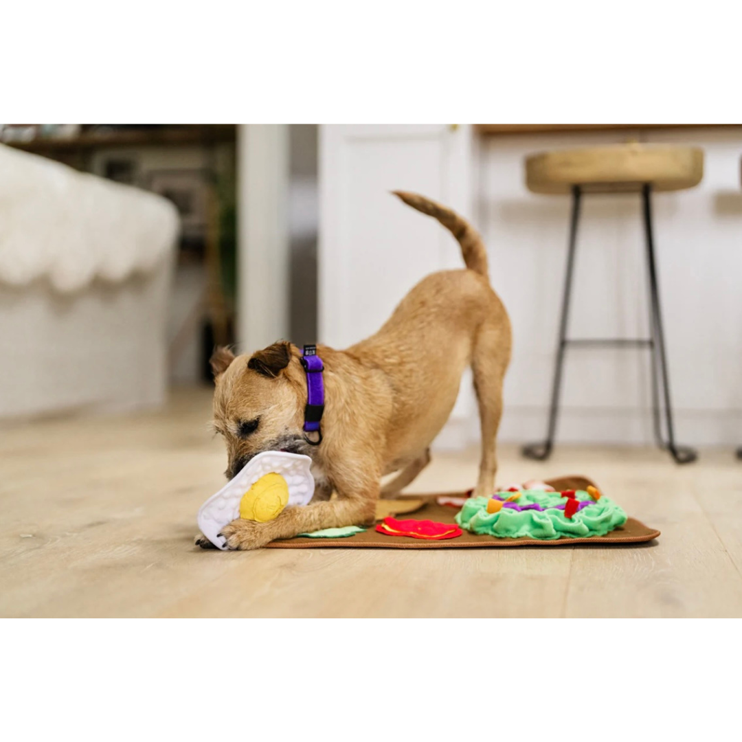 PLAY Savory Sunrise Snuffle Mat