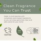 Grow Natural Air Freshener | Forest Fern