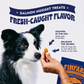 Finfare Freeze-Dried Salmon Nuggets