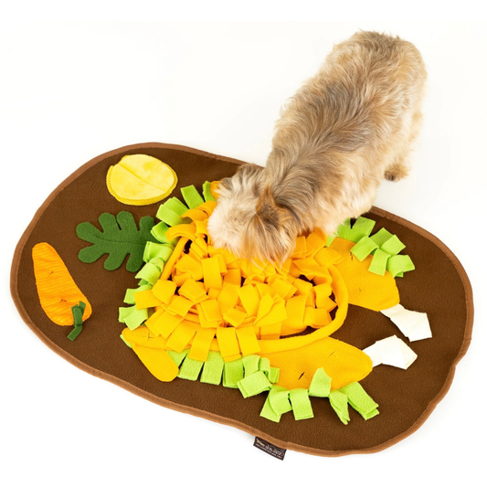 PLAY Thanksgiving Snuffle Mat