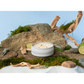 Grow Natural Candle | Pacific Driftwood