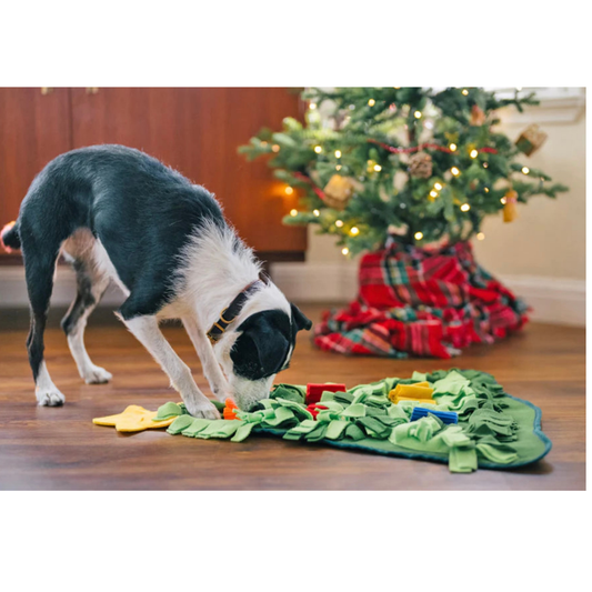PLAY Holiday Snuffle Mat