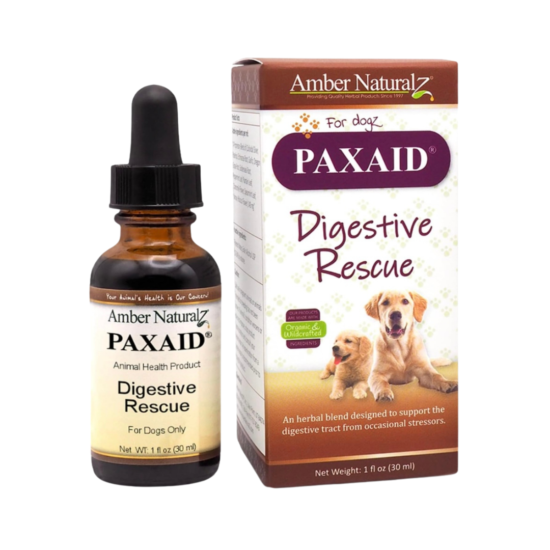 Amber Naturalz Paxaid | Natural Relief for Digestive Upset +Discomfort